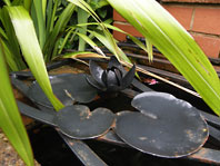 Pond Grille Detail