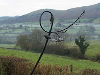 Bird Feeder