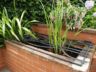 Pond Grille