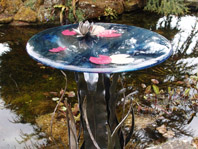 Water Lily Table