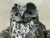 Hoot